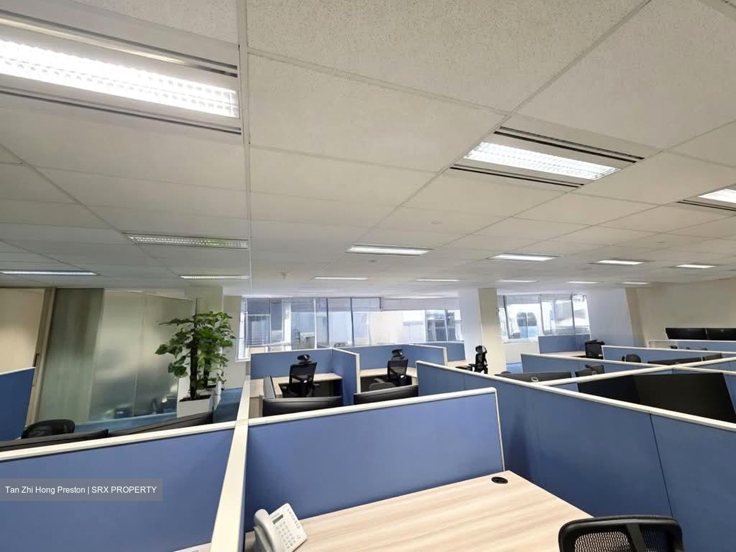 MYP Plaza (D1), Office #591308561